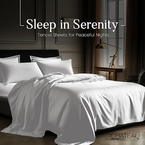 CHATEAU HOME COLLECTION Queen Sheet Set with Tencel 300 Thread Count Dark Grey