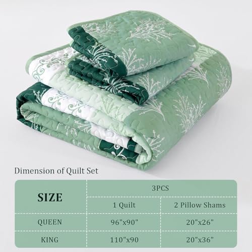 DJY Boho Queen Quilt Set Green Striped Floral Bedspread Coverlet 3 Piece