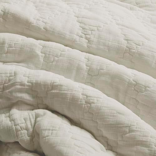 Palassio Beige Twin Quilt Set with 1 Sham 1