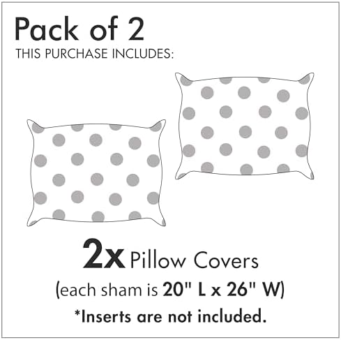 Ambesonne Paris Pillow Sham Set of 2 with Eiffel Tower Design