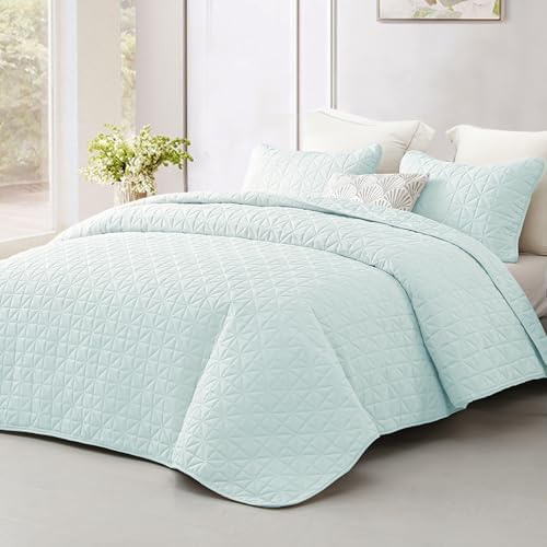 Exclusivo Mezcla King Size Quilt Set with Grid Pattern