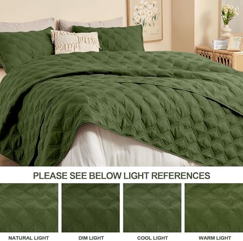 Litanika Super King Olive Green Quilt Set 3 Piece