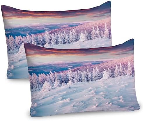Ambesonne Winter Pillow Sham Set of 2 White Pink