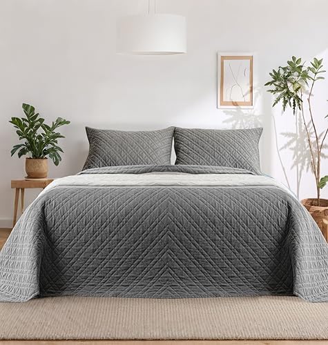 DOWN HOME Queen Quilt Bedding Set with Shams