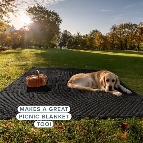 Bare Home Coverlet Set - King Black