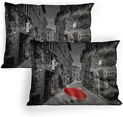 Ambesonne Black and White Pillow Sham Set of 2