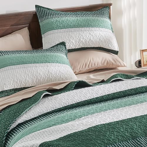 Andency Emerald Green Quilt Set 3-Piece Queen Size
