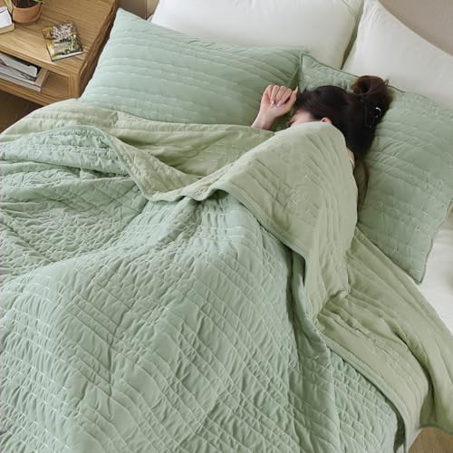 KASENTEX Sage Green Velvet Quilt Set 3 Piece 1