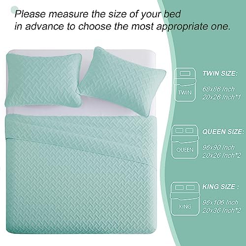 Exclusivo Mezcla Soft Quilt Set Queen Size 3 Pieces