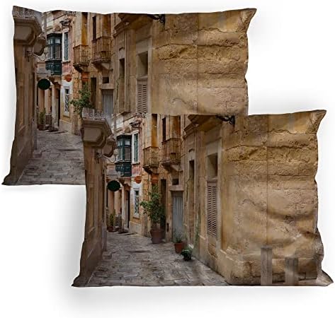 Ambesonne Travel Pillow Sham Set of 2 Sand Brown