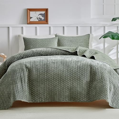 WARMDERN Luxury Velvet Quilt Set Queen Size