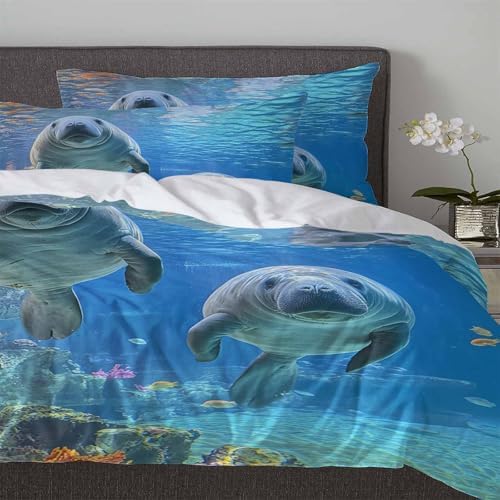 Boanket 3-Piece Queen Bedding Set with Zipper Closure 1