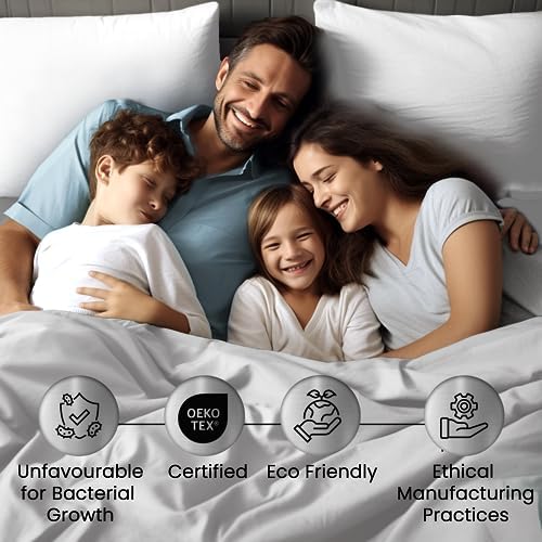 CHATEAU HOME COLLECTION Queen Sheet Set with Tencel 300 Thread Count Dark Grey