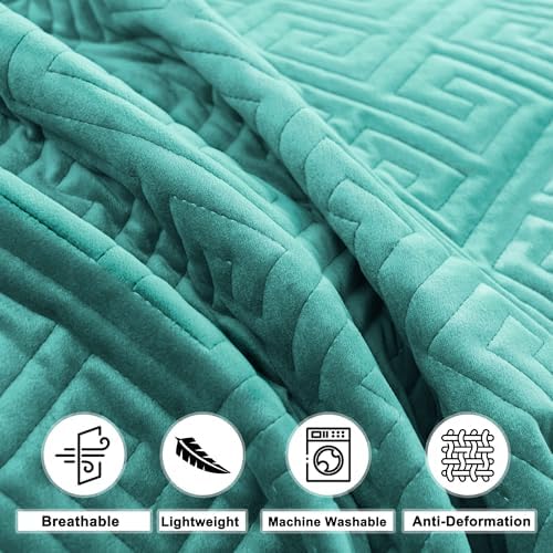 Asuexpect 3 Piece King Size Velvet Quilt Set