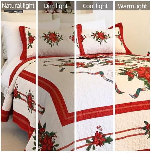 Cmfshape Christmas Bedspread Queen Size 3Pcs Red Set