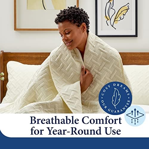 Cosy House Luxury Bamboo Rayon Quilt Set 3-Piece