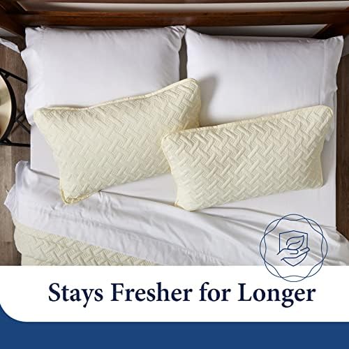 Cosy House Luxury Bamboo Rayon Quilt Set 3-Piece