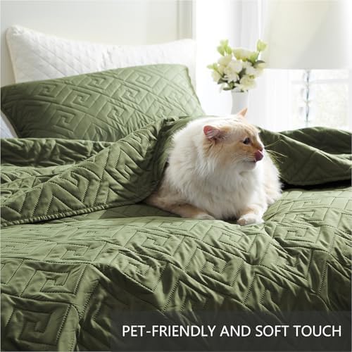 Homelike Moment King Size Quilt Set Olive Green 1