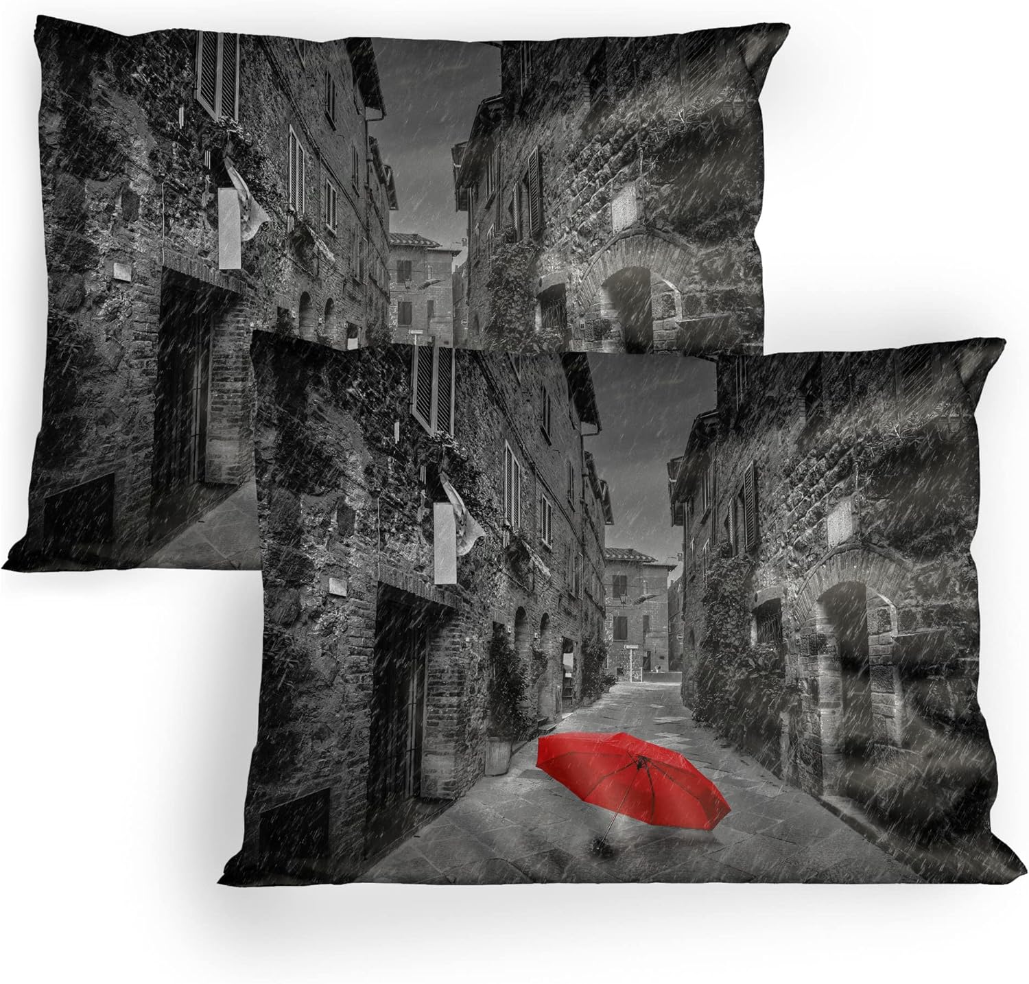 Ambesonne Black and White Pillow Sham Set of 2